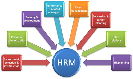 human resource management roles